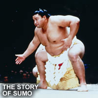 The Story of Sumo - Japanese Sumo Wrestling Documentary DVD