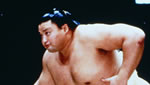 The Story of Sumo