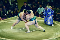 Sumo Match